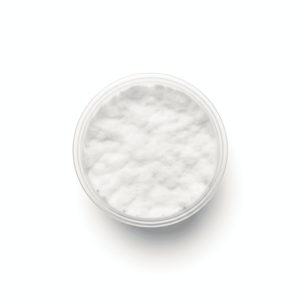 Black Oyster 3B2 Agar Culture (NL-3B2)