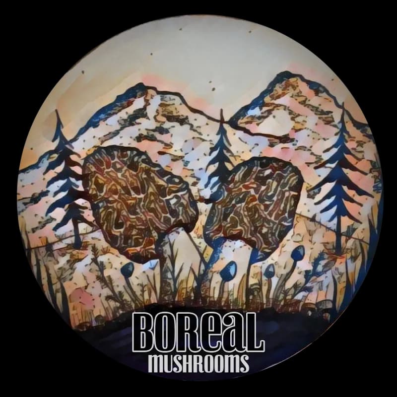 Boreal Mushrooms