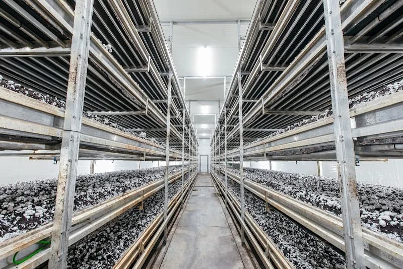 Canadian Mushroom Growers Association / Mushrooms Canada