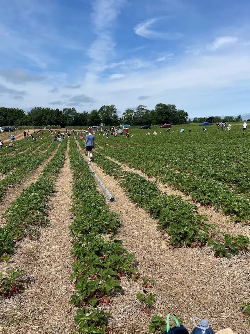 Creation Care Farm — additional photo