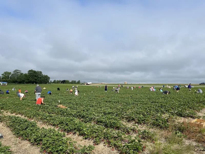 Creation Care Farm — additional photo