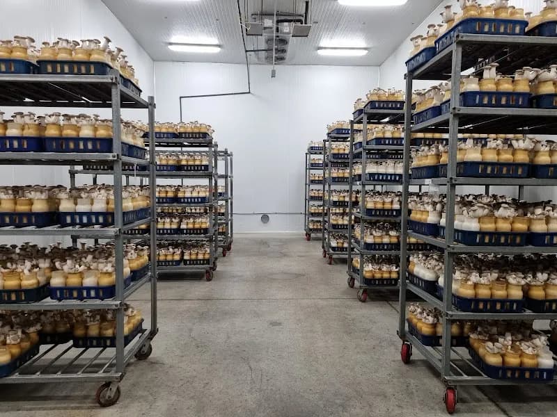 Enviro Mushroom Farm Inc. — additional photo