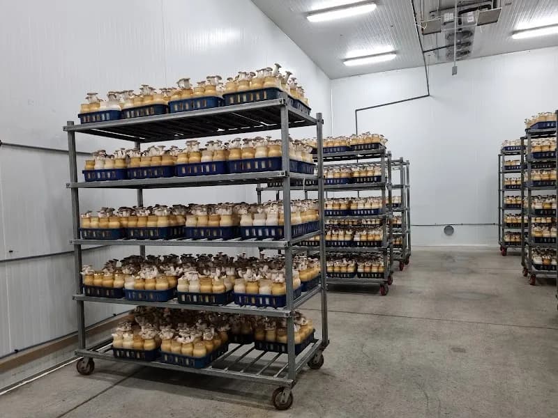 Enviro Mushroom Farm Inc. — additional photo