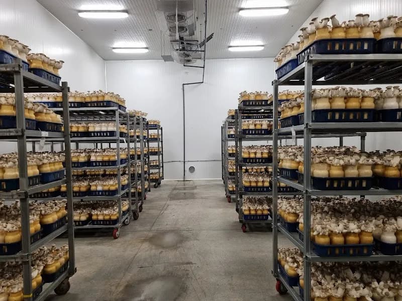 Enviro Mushroom Farm Inc.