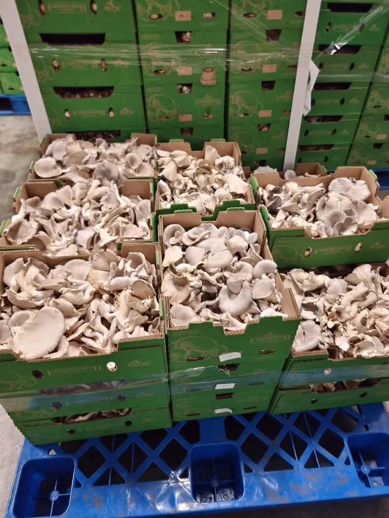 Farmers' Fresh Mushrooms — additional photo