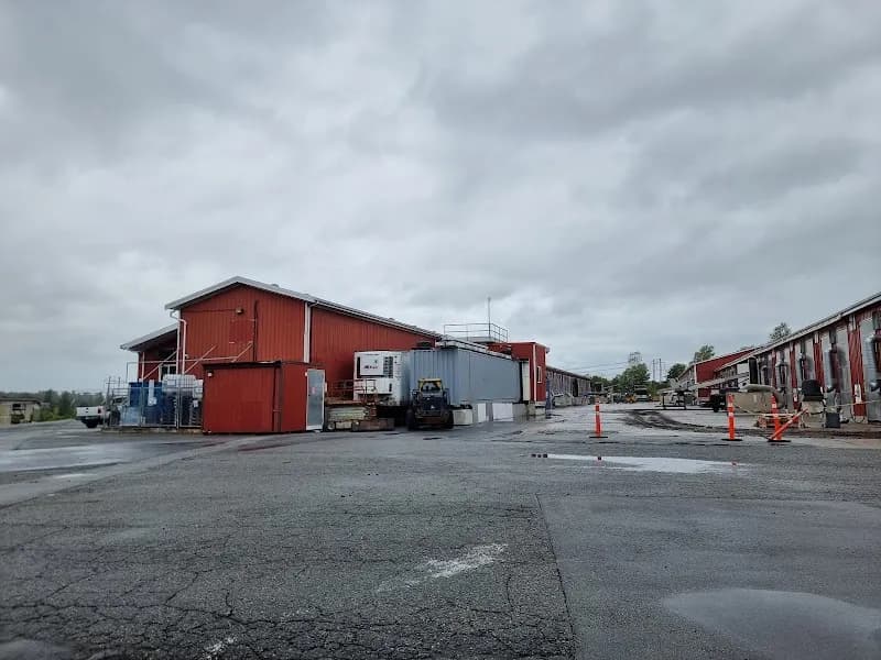 Farmers' Fresh Mushrooms