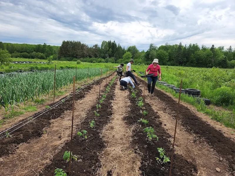 Ferme artisane Hortus & Fungi — additional photo