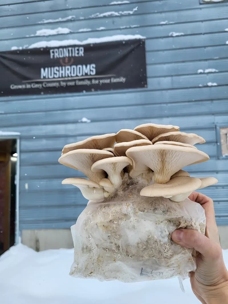 Frontier Mushrooms — additional photo