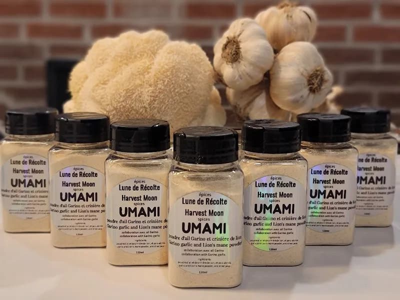 Harvest Moon (Lune de Récolte) — additional photo