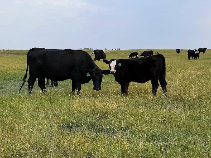 Kunz Farms Inc — additional photo