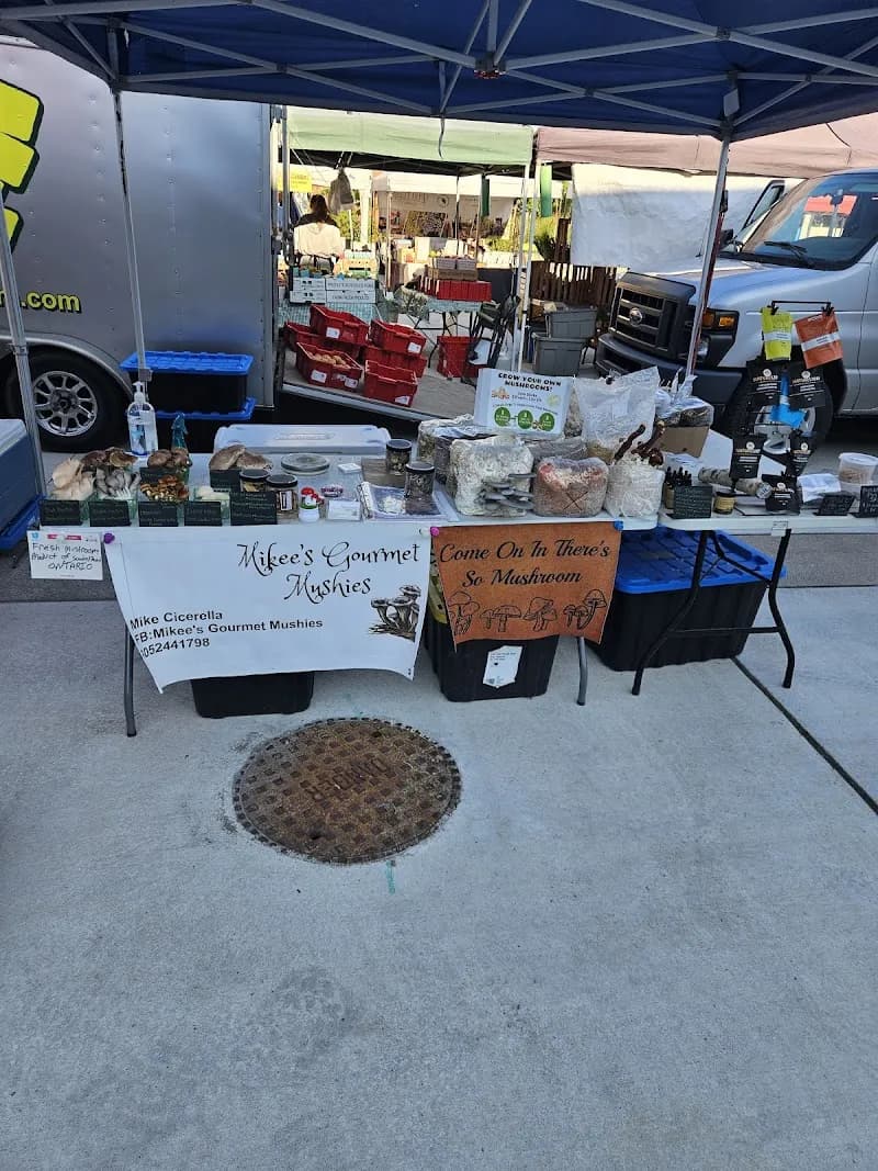 Mikee's Gourmet Mushies — additional photo