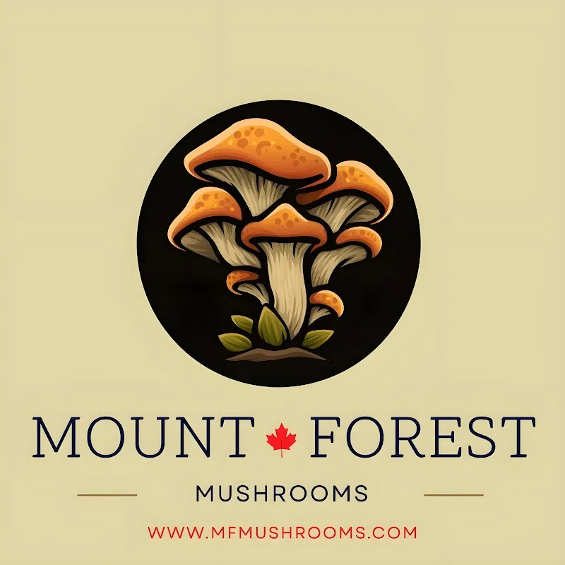 Mount Forest Mushrooms — additional photo