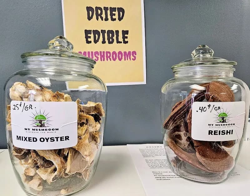 MY MUSHROOM — additional photo