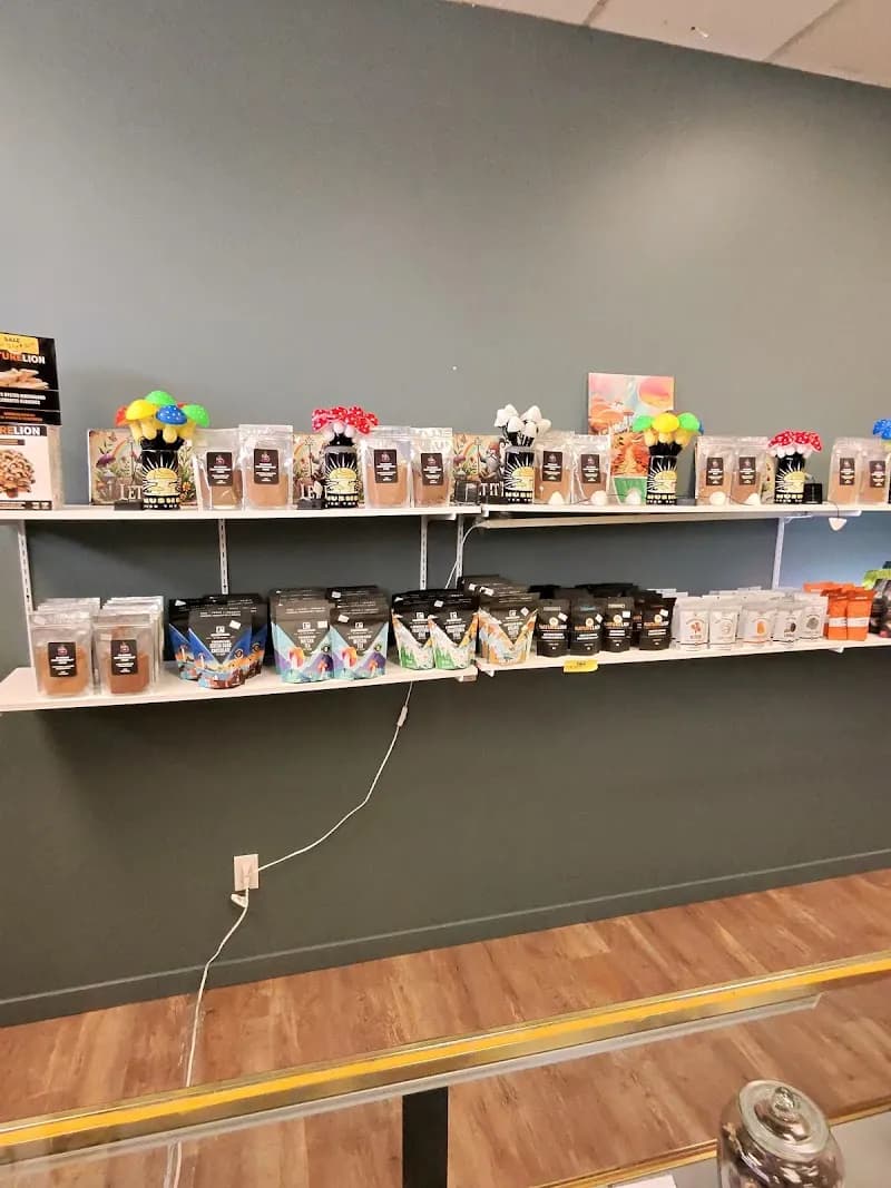 MY MUSHROOM — additional photo