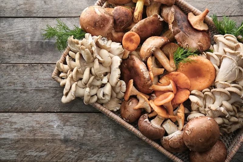 Naturally Northern Farms