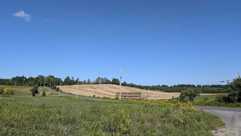 Ontario Mushroom Farm
