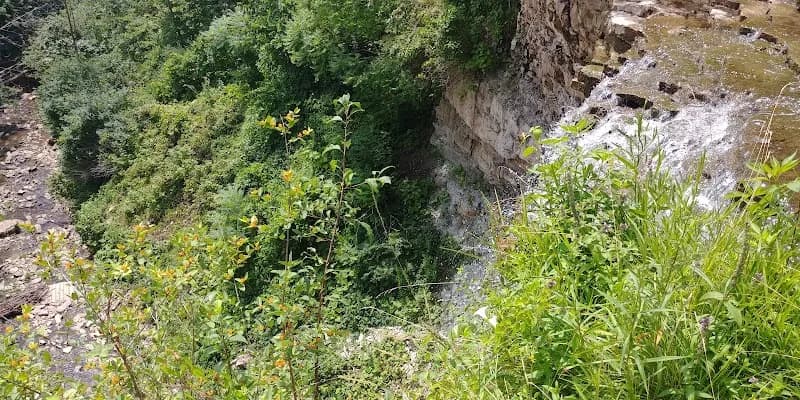 Piccioni Bros Mushroom Farm — additional photo