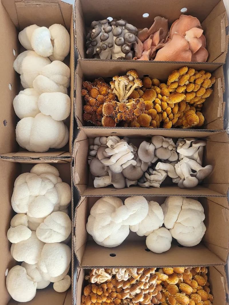 Positive Produce