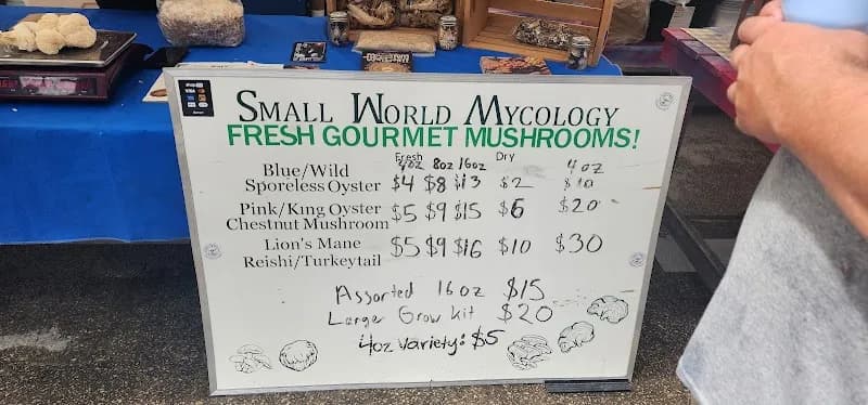 Small World Mycology — additional photo