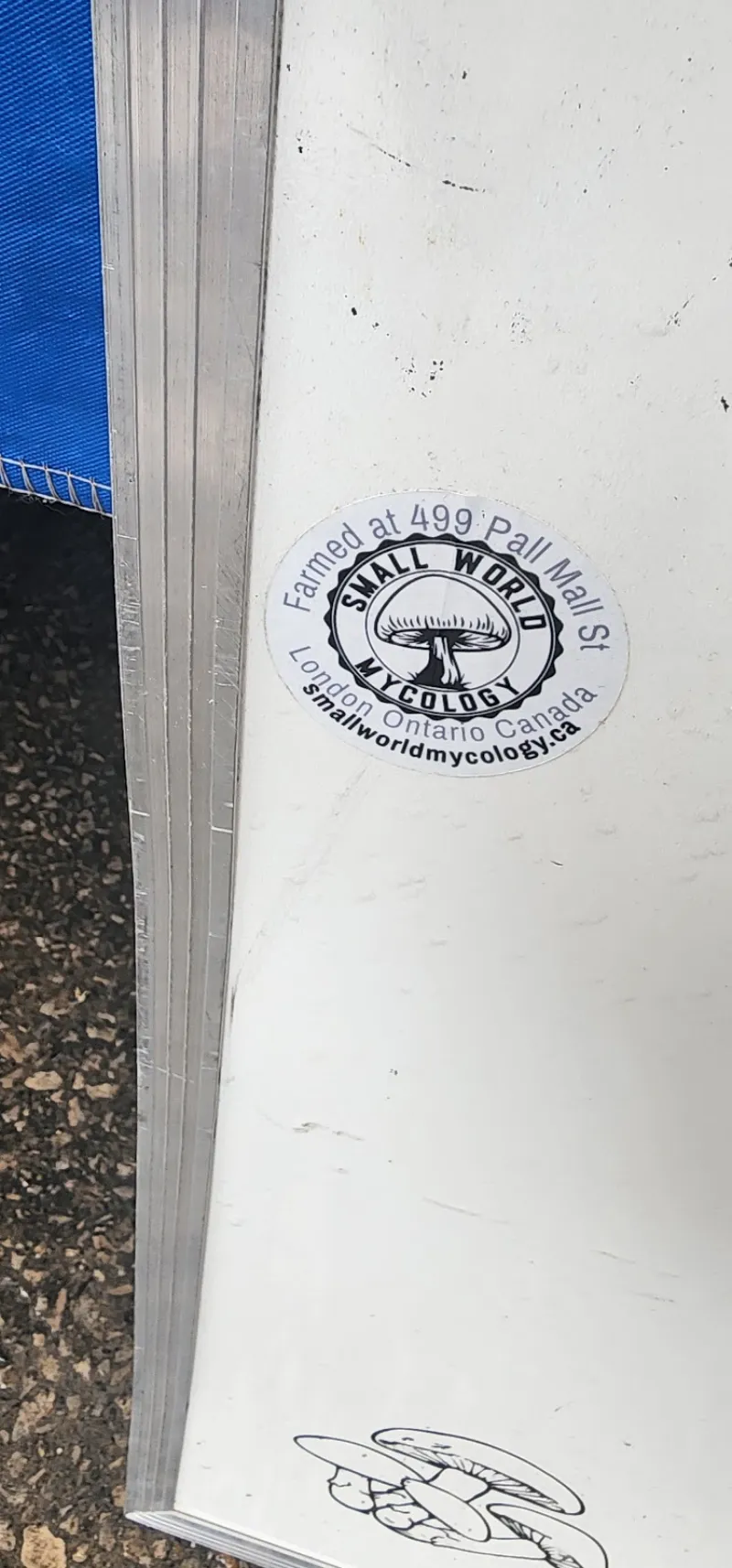 Small World Mycology