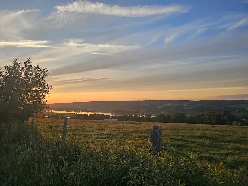 Springhill Farm — additional photo