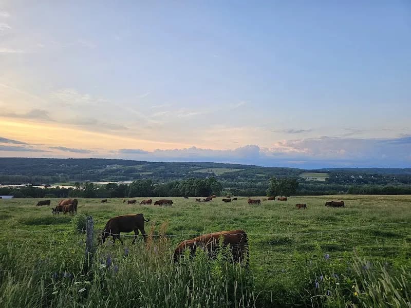 Springhill Farm