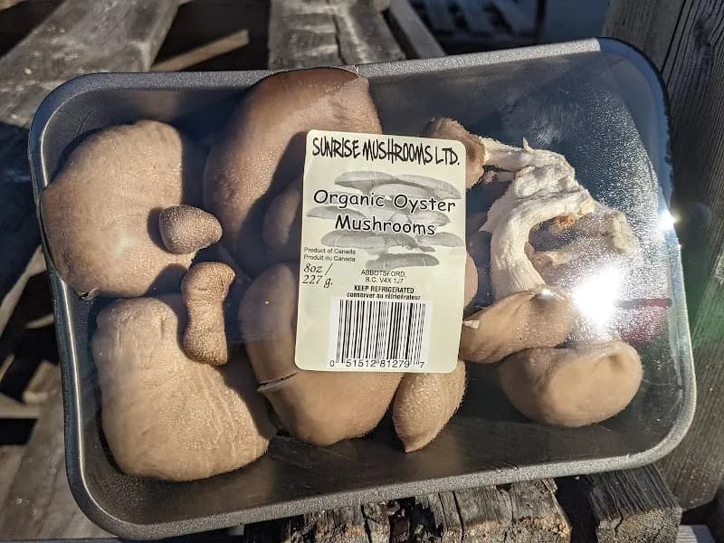 Sunrise Mushrooms Ltd — additional photo