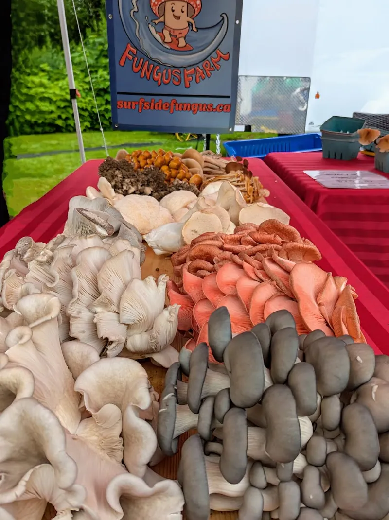 Surf Side Fungus Farm — additional photo