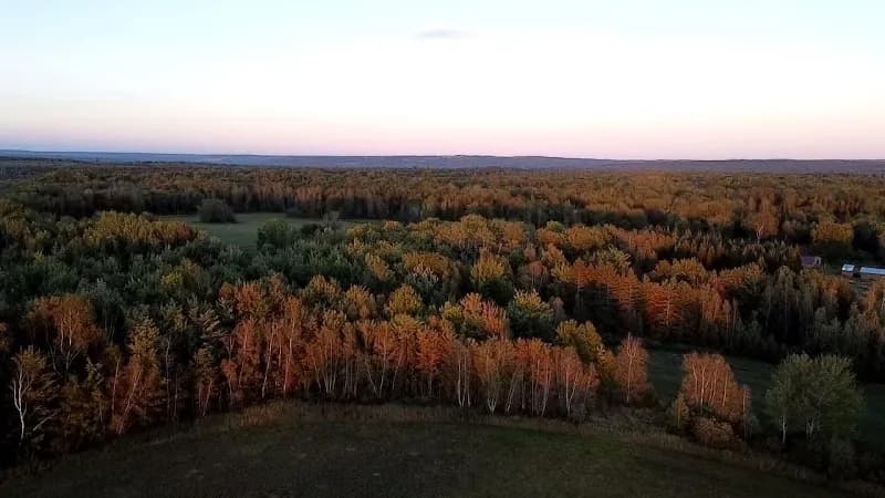 Symbiotic Horizons Farm — additional photo