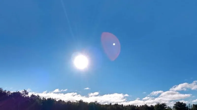 Symbiotic Horizons Farm