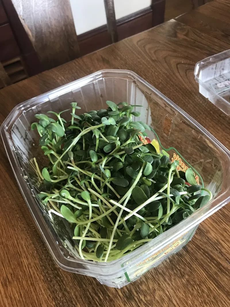 Terra Tonics Farm — additional photo