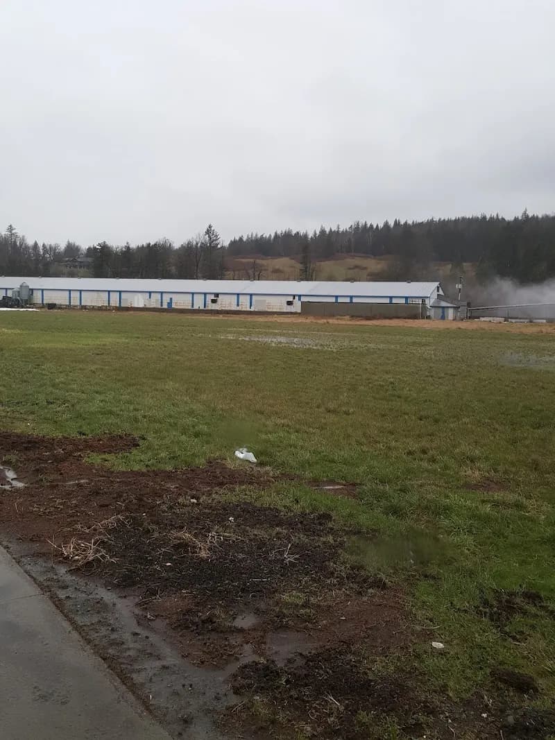 White Cap Mushroom Farm Ltd — additional photo