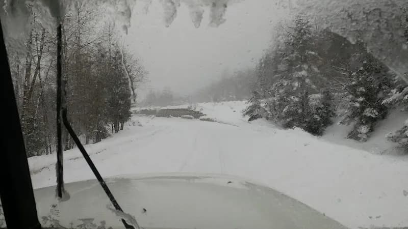 White cap Mushroom Farm Ltd